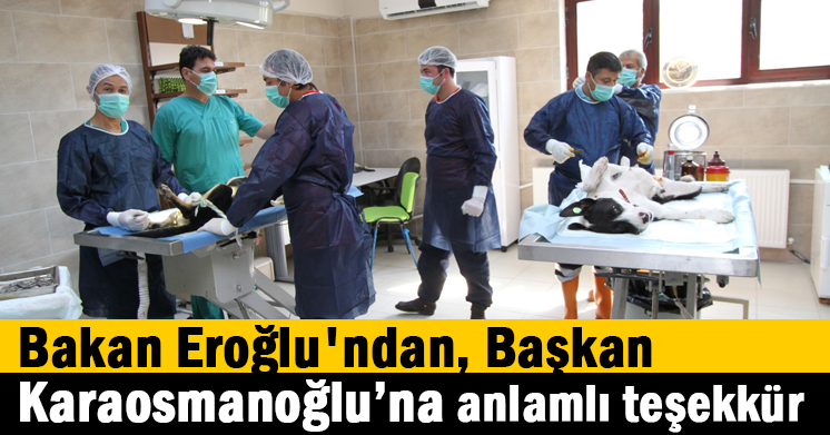 Bakan Eroğlu’ndan, Başkan Karaosmanoğlu’na anlamlı teşekkür  