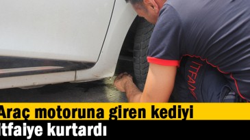 Araç motoruna giren kediyi itfaiye kurtardı