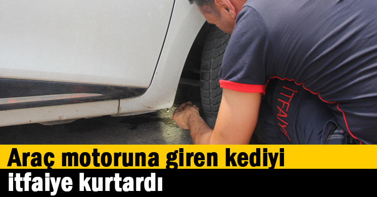 Araç motoruna giren kediyi itfaiye kurtardı
