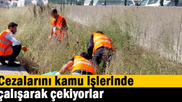 Cezalarını kamu işlerinde çalışarak çekiyorlar
