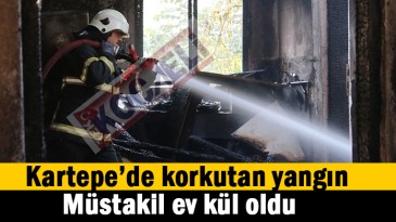 Müstakil ev kül oldu