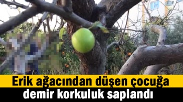 Ağaçtan düşen çocuğa demir korkuluk saplandı