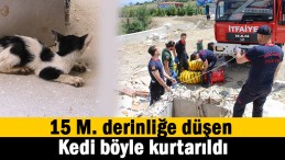 Hava boşluğuna düşen kedi kurtarıldı