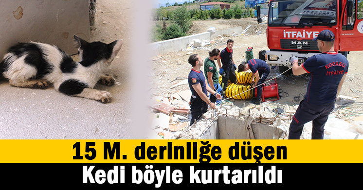 Hava boşluğuna düşen kedi kurtarıldı