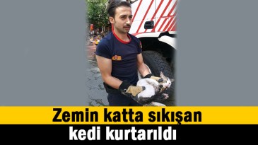 Zemin katta kedi sıkıştı