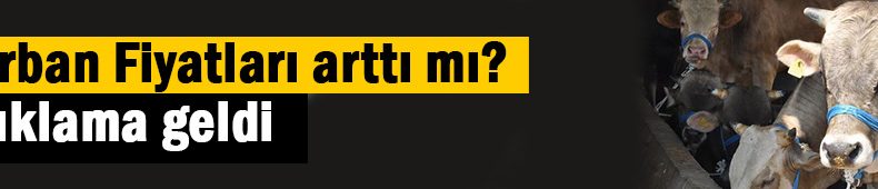 Kurban fiyatları belli oldu