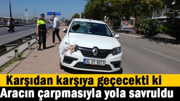 İzmit’te kaza; 1ağır yaralı