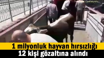 1 Milyonluk dolandırıcılık