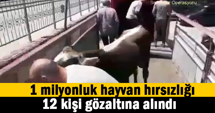 1 Milyonluk dolandırıcılık