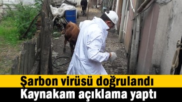 Şarbon virüsü doğrulandı, önlemler alınıyor