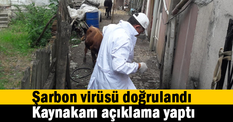 Şarbon virüsü doğrulandı, önlemler alınıyor