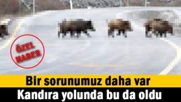 Kandıra yolunda sorun bitmiyor