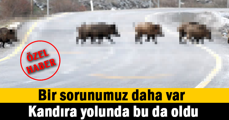 Kandıra yolunda sorun bitmiyor
