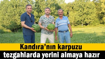 Kandıra’nın karpuzu, tezgahlarda yerini almaya hazır