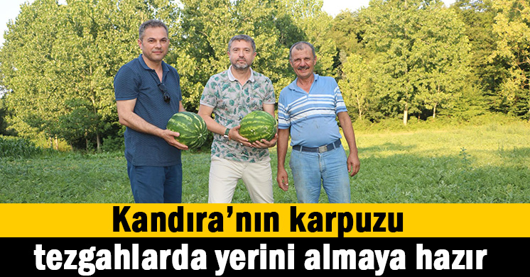 Kandıra’nın karpuzu, tezgahlarda yerini almaya hazır