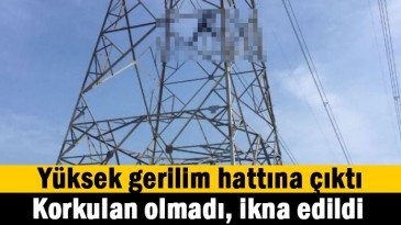 Yüksek gerilim hattına çıktı