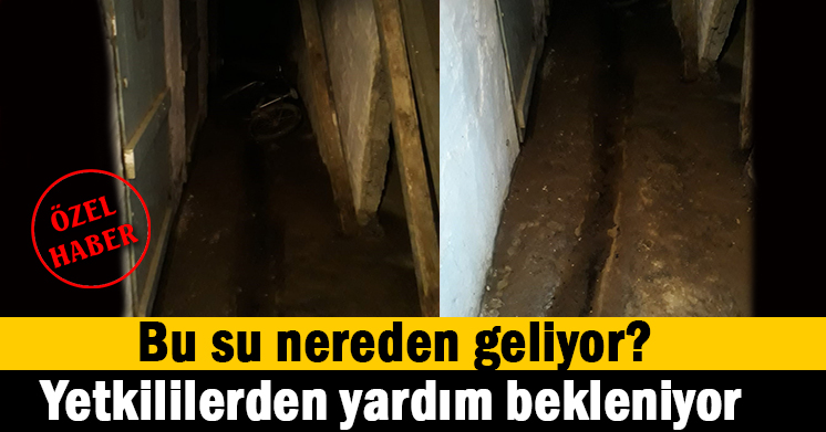 Apartmanın bodrum katına giren su rahatsız ediyor