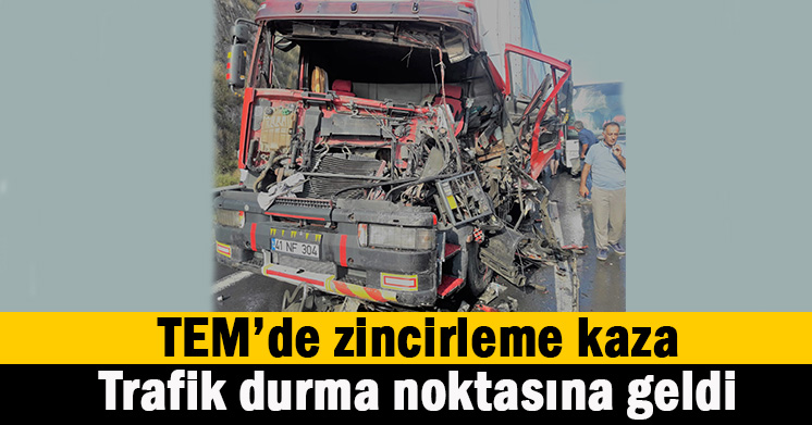 TEM’de zincirleme kaza