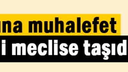 Hürriyet Tavşancıl sahilini meclise taşıdı