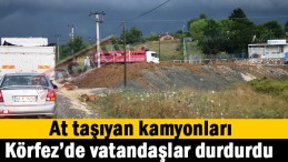 Hastalıklı atlardan sonra..