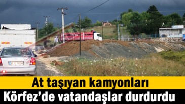 Hastalıklı atlardan sonra..