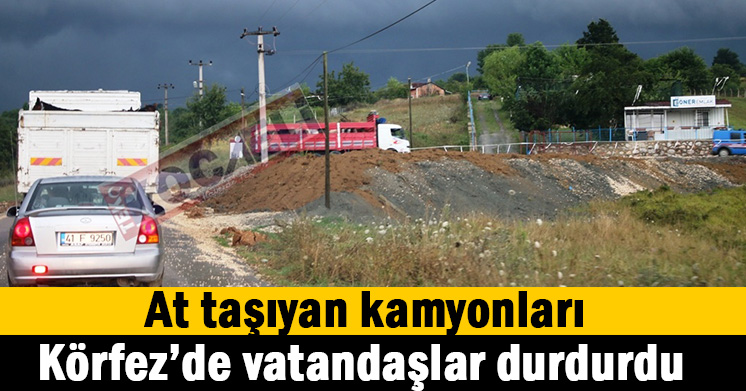 Hastalıklı atlardan sonra..