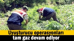 Jandarma’dan uyuşturucu operasyonu