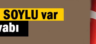 Soylu neden hedefte