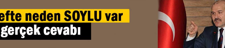 Soylu neden hedefte