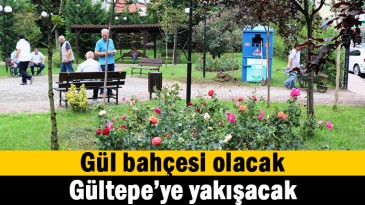 Gültepe Mahallesi gül bahçesine dönüşüyor