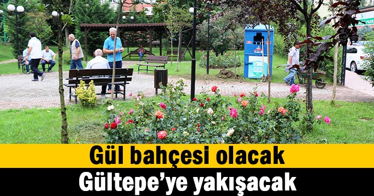 Gültepe Mahallesi gül bahçesine dönüşüyor