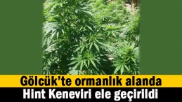 Gölcük’te operasyon