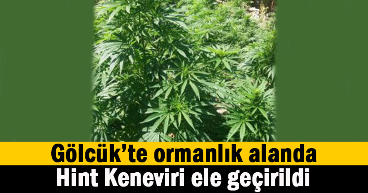 Gölcük’te operasyon