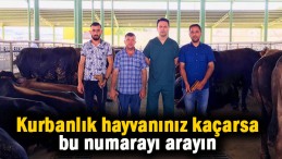 İzmit Belediyesi’nden Boğa Timi