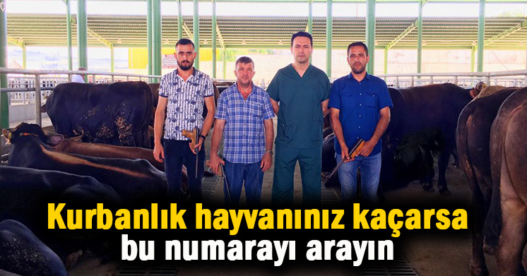 İzmit Belediyesi’nden Boğa Timi