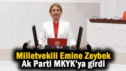 Ak Parti’de ZEYBEK MKYK’ya girdi