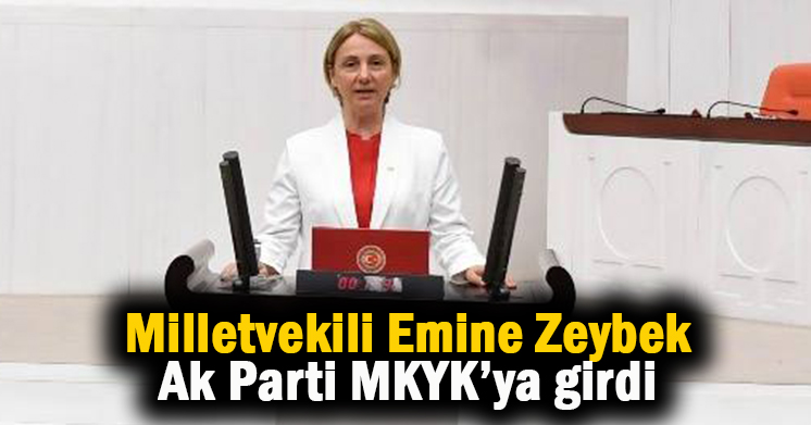 Ak Parti’de ZEYBEK MKYK’ya girdi
