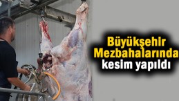 Dört dörtlük hizmet