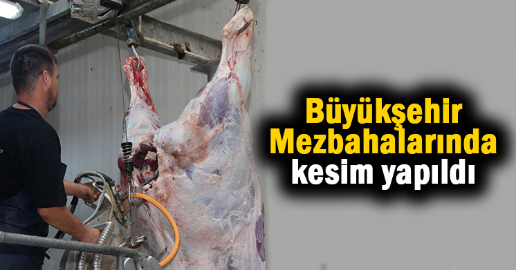 Dört dörtlük hizmet