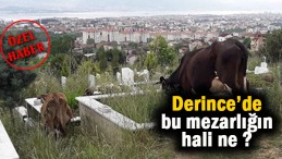 Vatandaş isyan etti