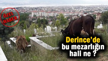 Vatandaş isyan etti