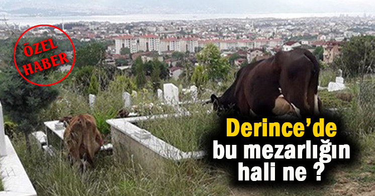 Vatandaş isyan etti