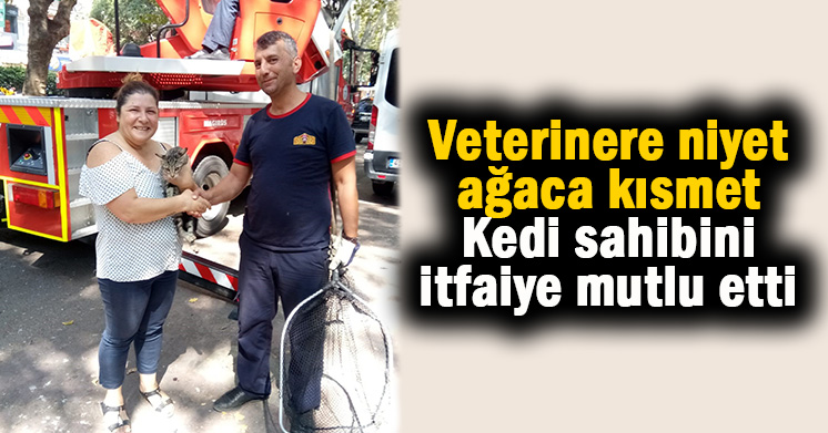Kediyi veterinere götürecekti ki..