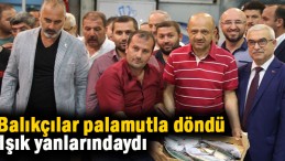 Balıkçılar Palamut ve İstavritle döndüler