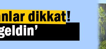 Kocaeli Üniversitesi’ni kazananlar dikkat!