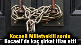 Kocaeli’de kaç şirket iflas etti