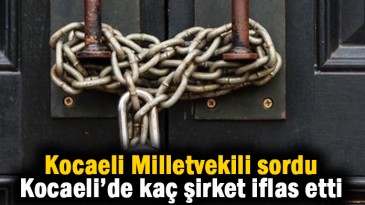 Kocaeli’de kaç şirket iflas etti