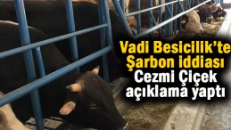 Vadi Besicilik’te Şarbon iddiası