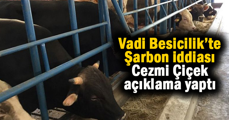 Vadi Besicilik’te Şarbon iddiası