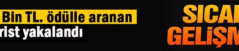 300 Bin TL. ödülle aranıyordu